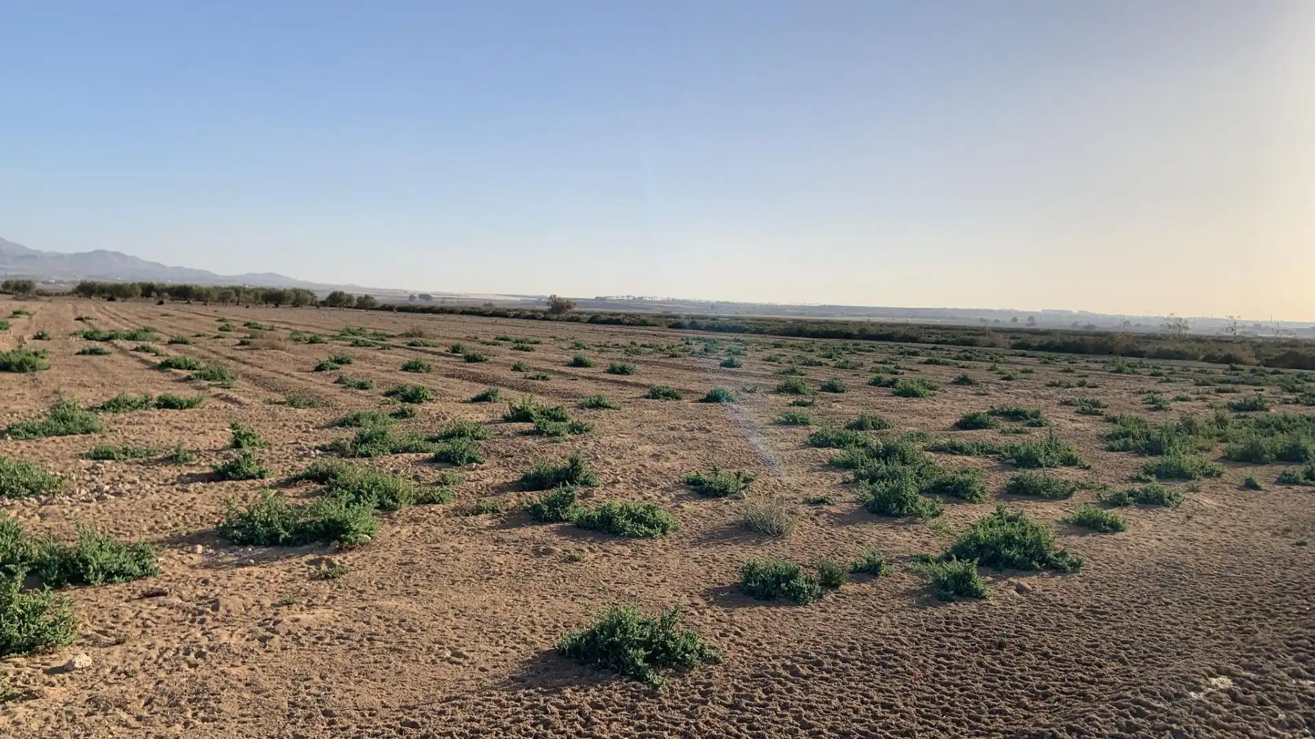 Terreno en venta en Alhama de Murcia