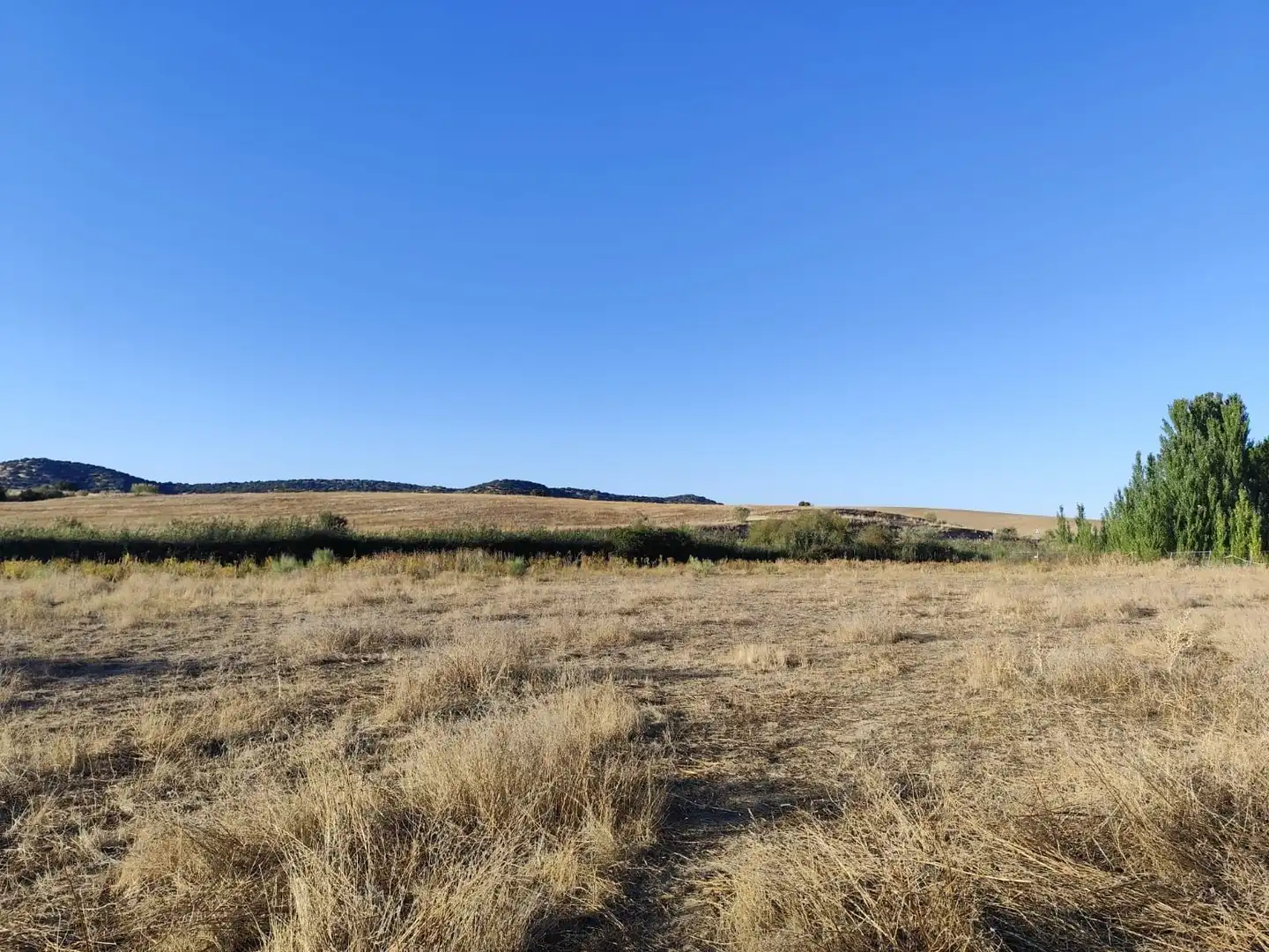 Terreno en venta en Brunete
