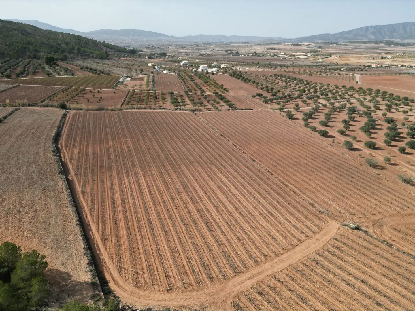 Residential land for sale in El Pinós / Pinoso, imagen 2