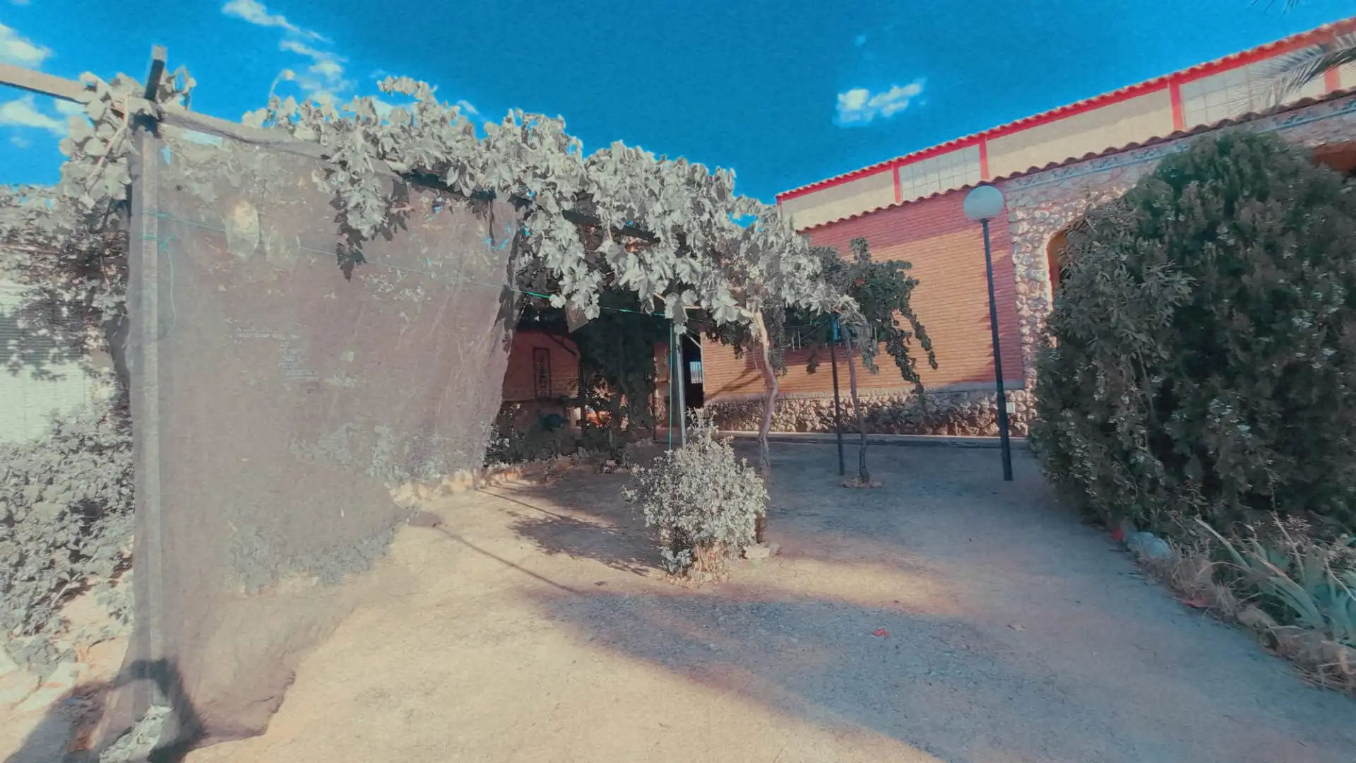 Vista exterior de Terreno en venta en Granátula de Calatrava
