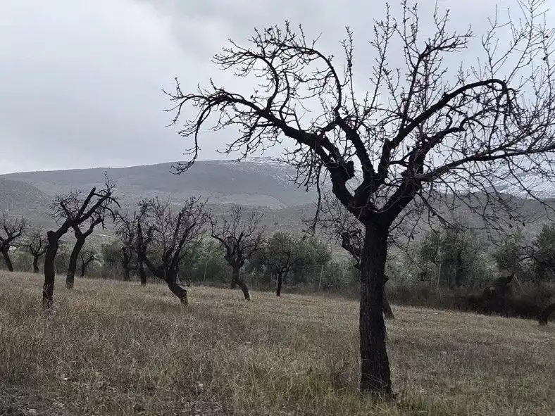Grundstücke zum Verkauf in Abrucena