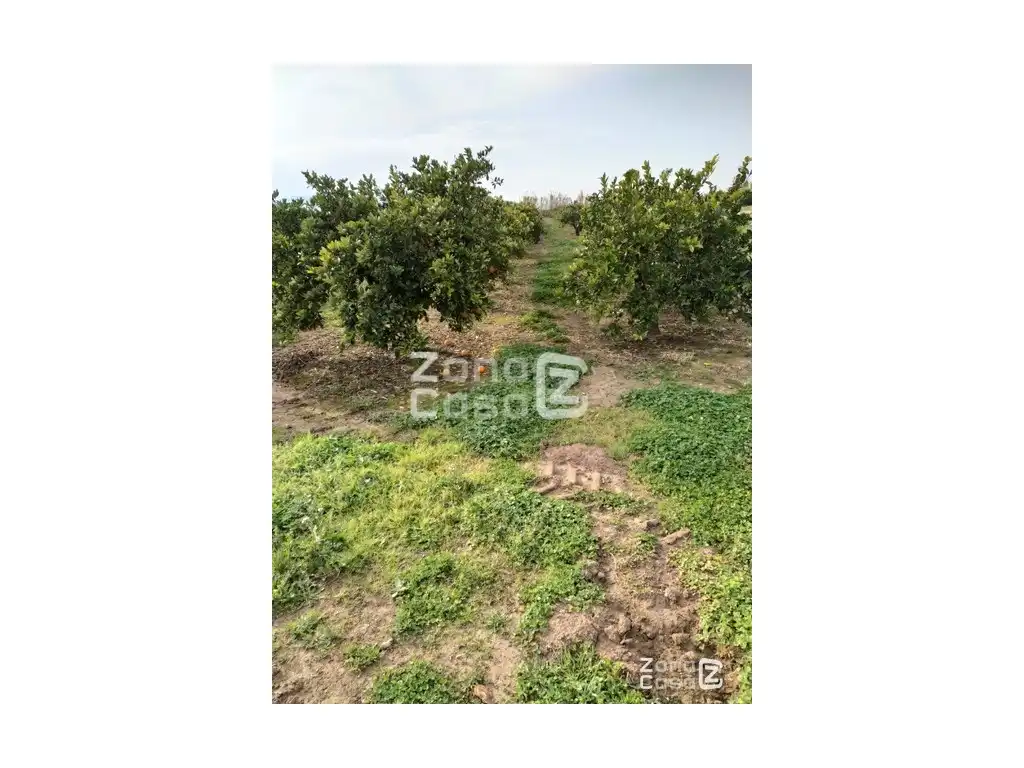 Country house for sale in Algemesí, imagen 3