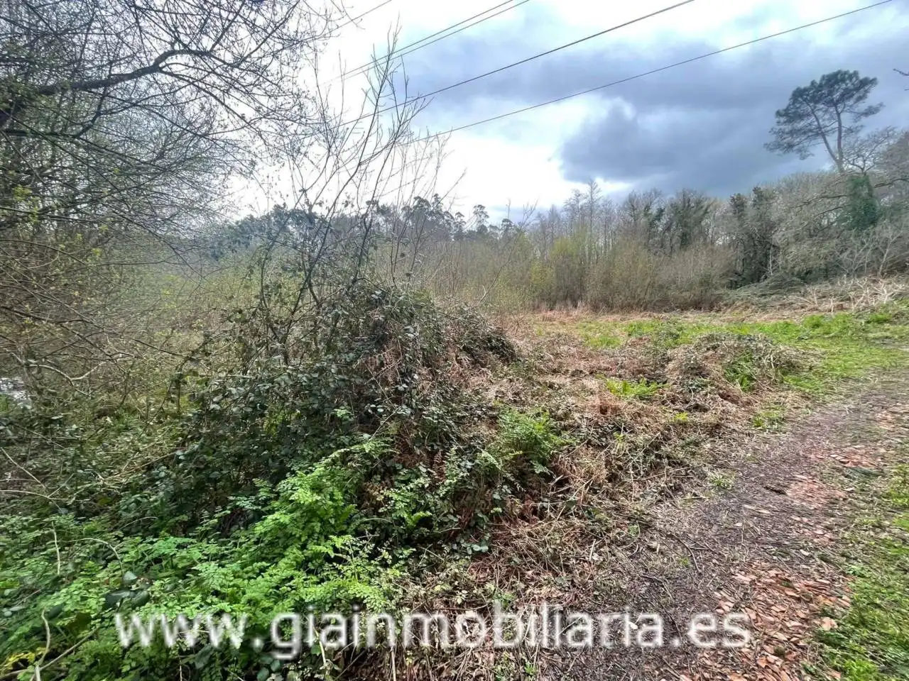 Terreny rústic en venda a Calle dos Muiño, imagen 4