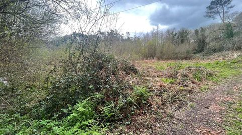 Se vende finca rústica, imagen 4