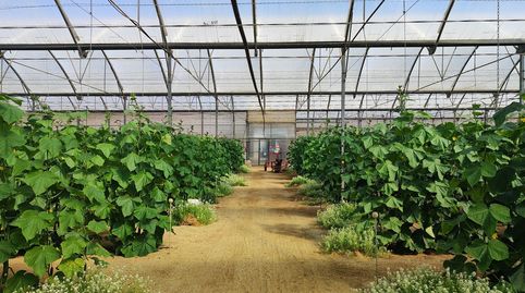 Photo 2 of Country homes for sale in San Isidro - Campohermoso, Níjar