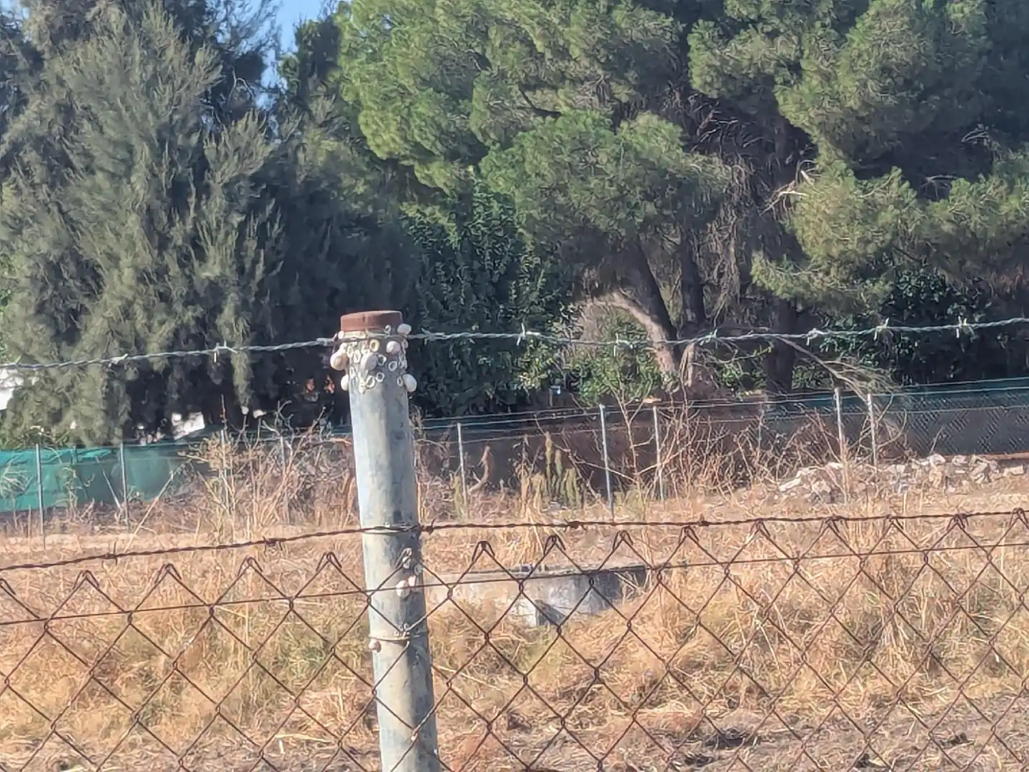 Casa o xalet en venda a Torre Cruz - Los Molinos