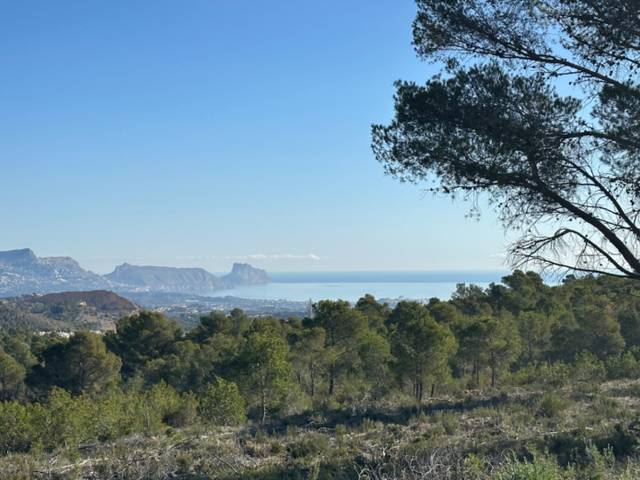 Terreno residencial en Venta en Coloma