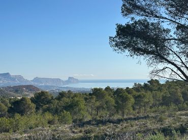 Terreno residencial en venta en Coloma