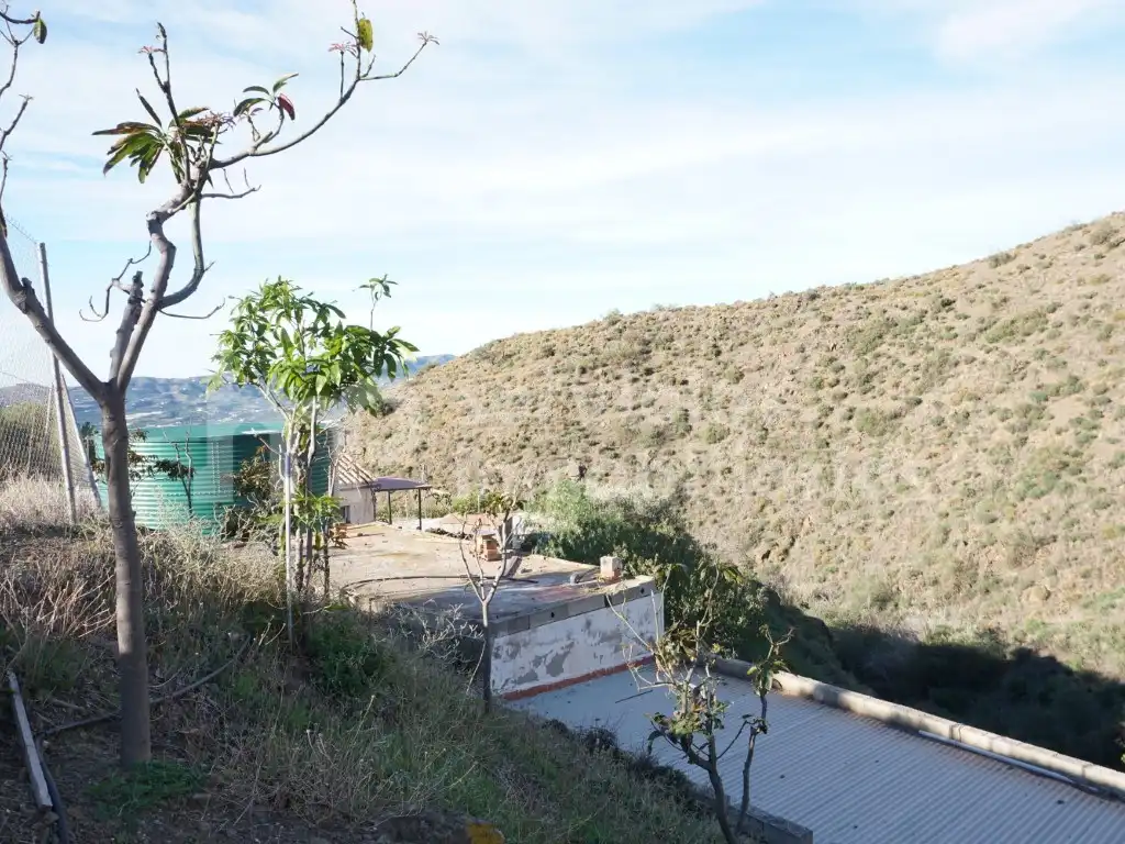Casa o chalet en venta en Urbanizacion Eucaliptos Los, Centro Histórico