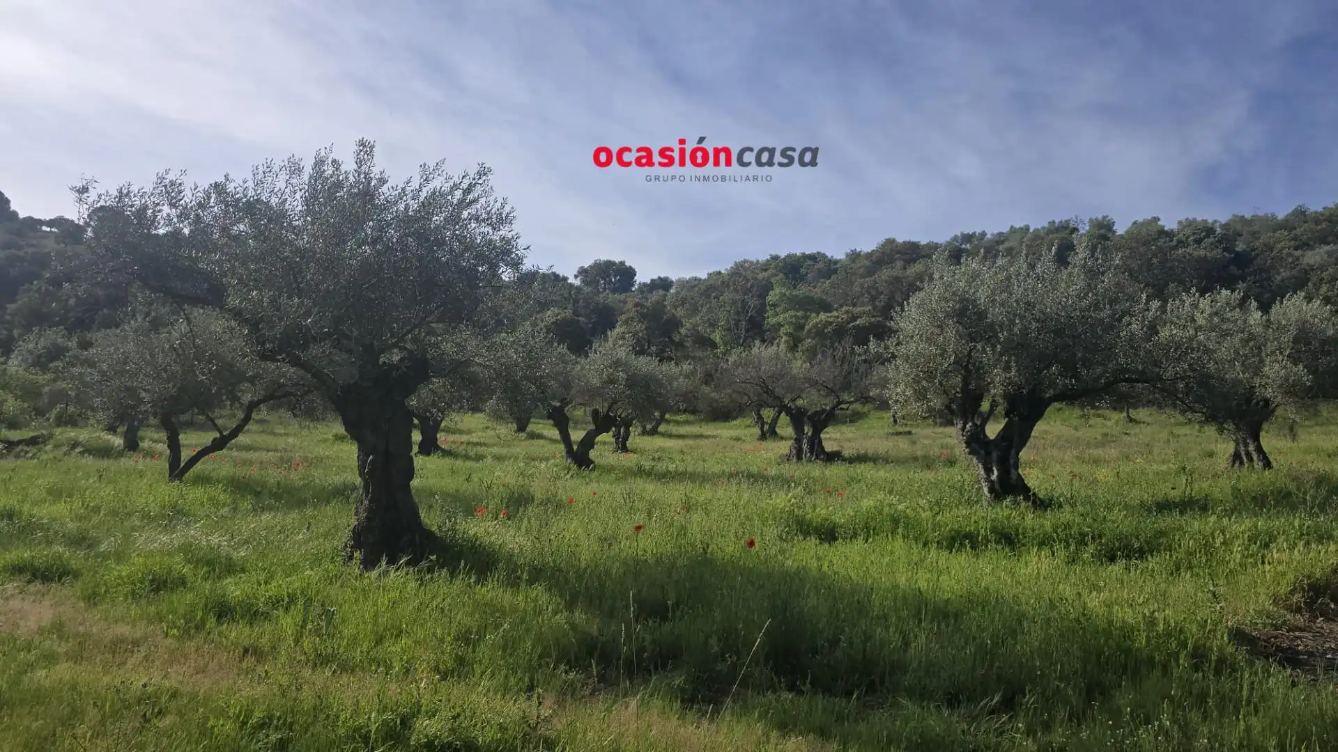 Casa in vendita a Belmez, imagen 8