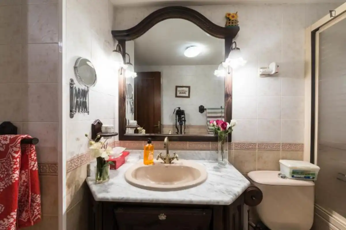 Bathroom of Apartments for rent in Madrid  with Air Conditioner, Heating and Furnished