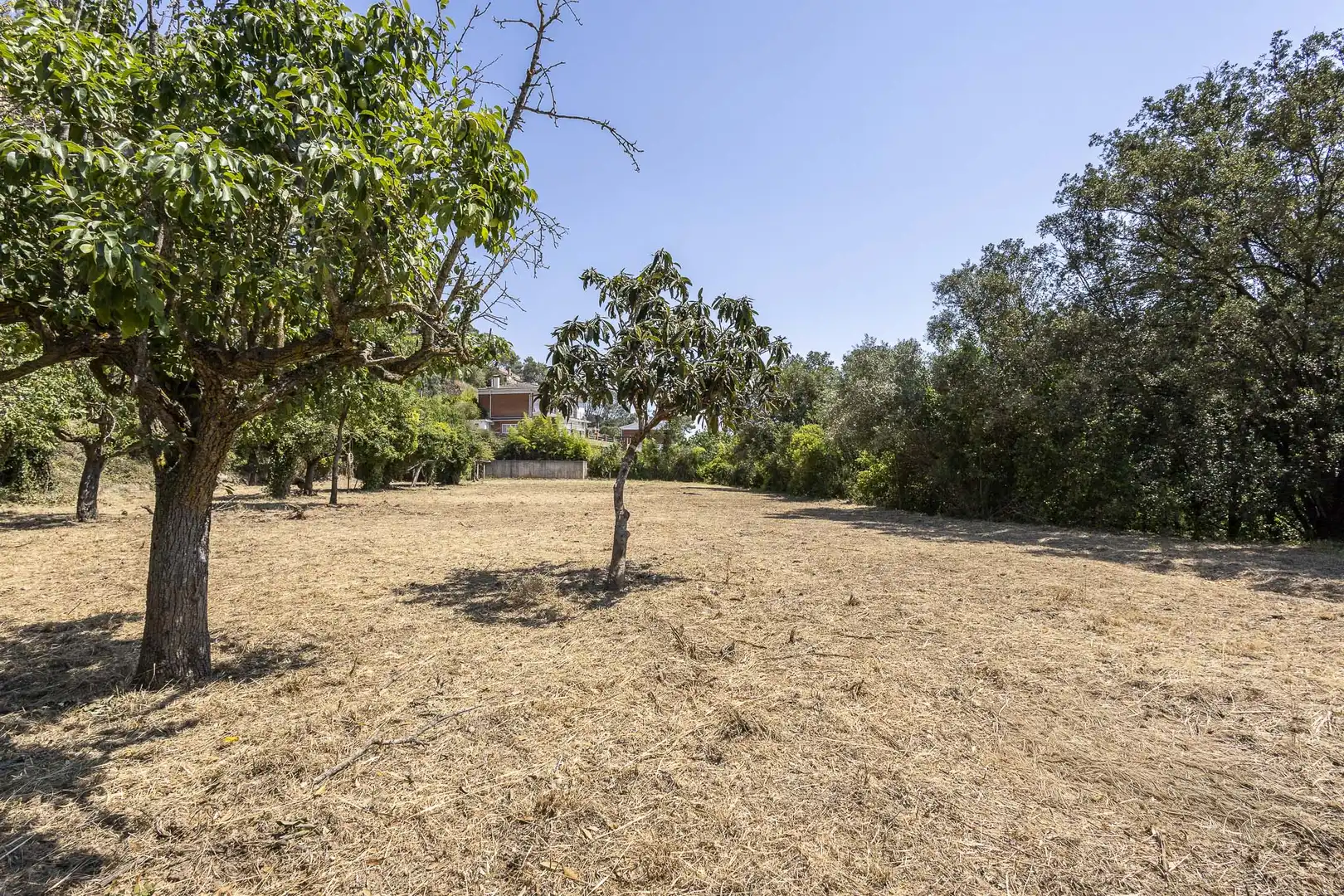 Casa con jardín en venta en Torrelles de Llobregat, imagen 8