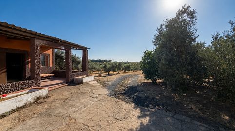 Foto 4 de Finca rústica en venta en La Palma del Condado, Huelva