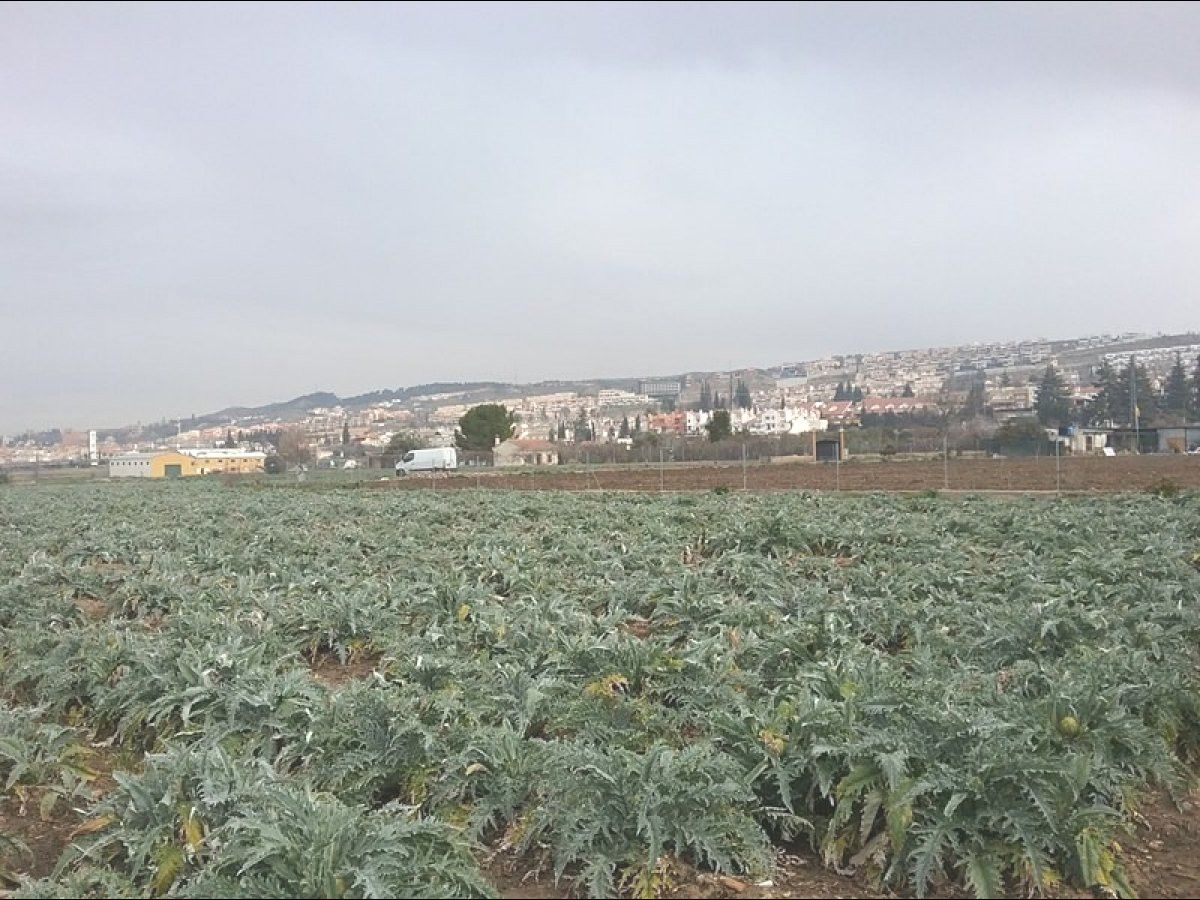 Land for sale in  Granada Capital