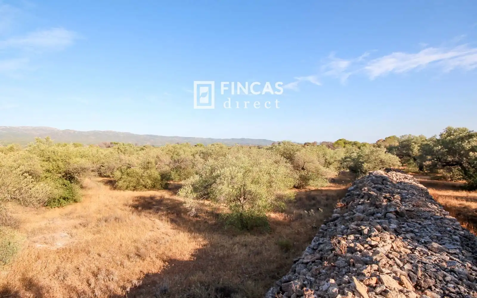 Country homes for sale in Xerta