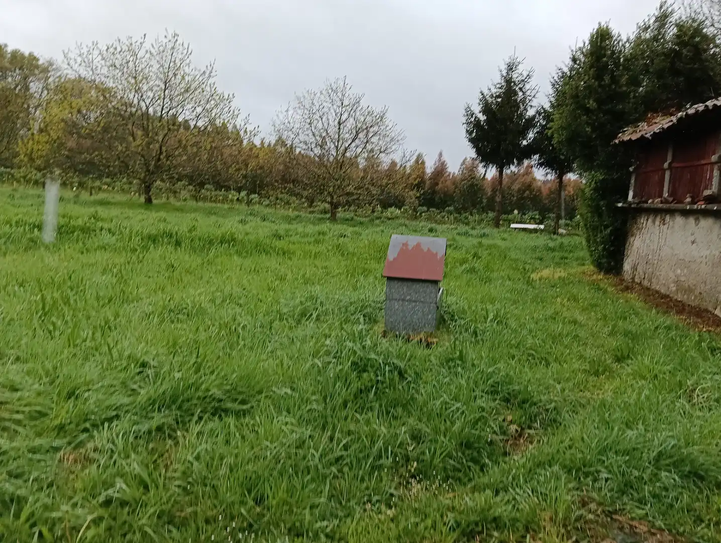 Adossat amb jardí en venda a Curtis, imagen 30