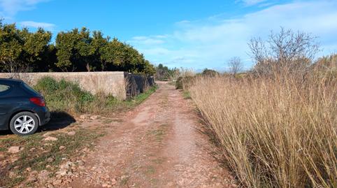 Foto 2 de Finca rústica en venda a Partida Pinella, 230, Avenida Alemania-Italia, Castellón