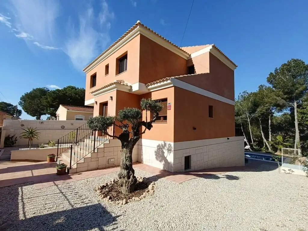 Vista exterior de Casa o chalet en venta en Pilar de la Horadada con Aire acondicionado, Calefacción y Jardín privado