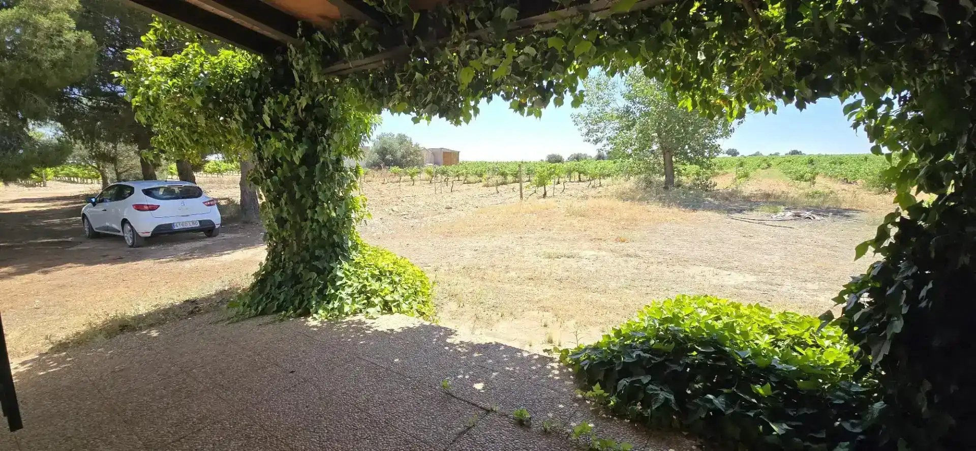 Finca rústica en venda en Villarrobledo amb Piscina