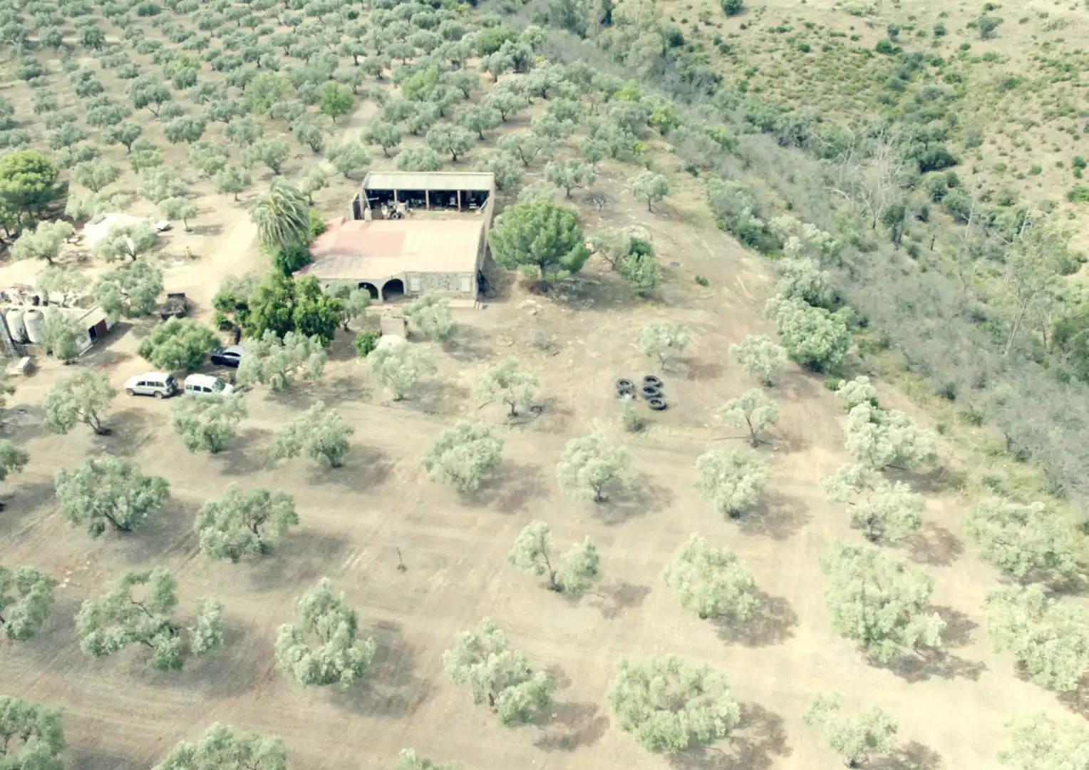 Finca rústica en venta en La Palma del Condado con Jardín privado, Terraza y Trastero