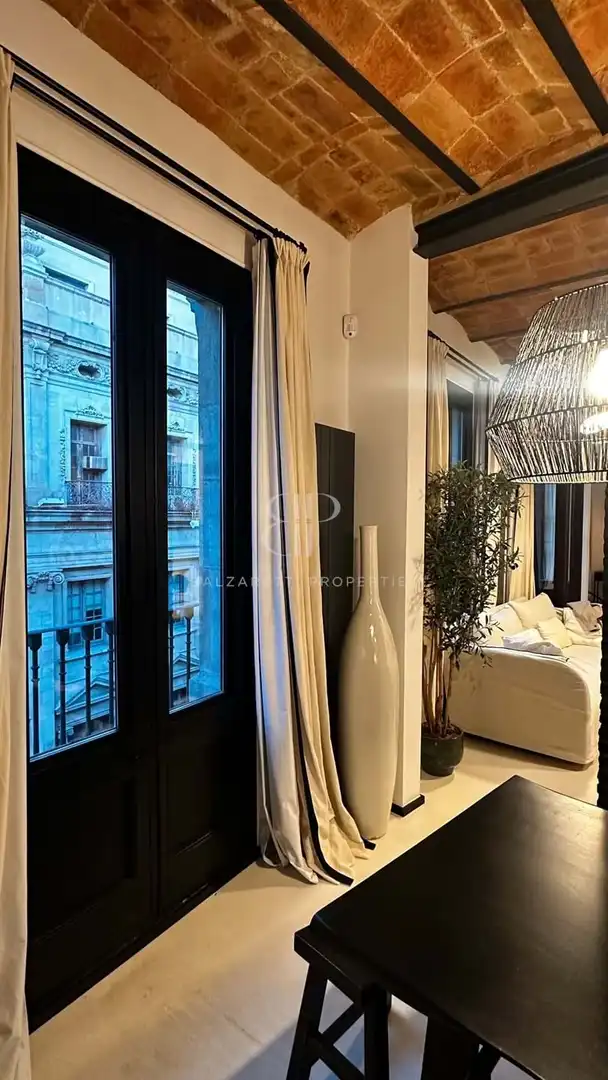 Appartamento con terrazza in affitto a El Barri Gòtic, imagen 9