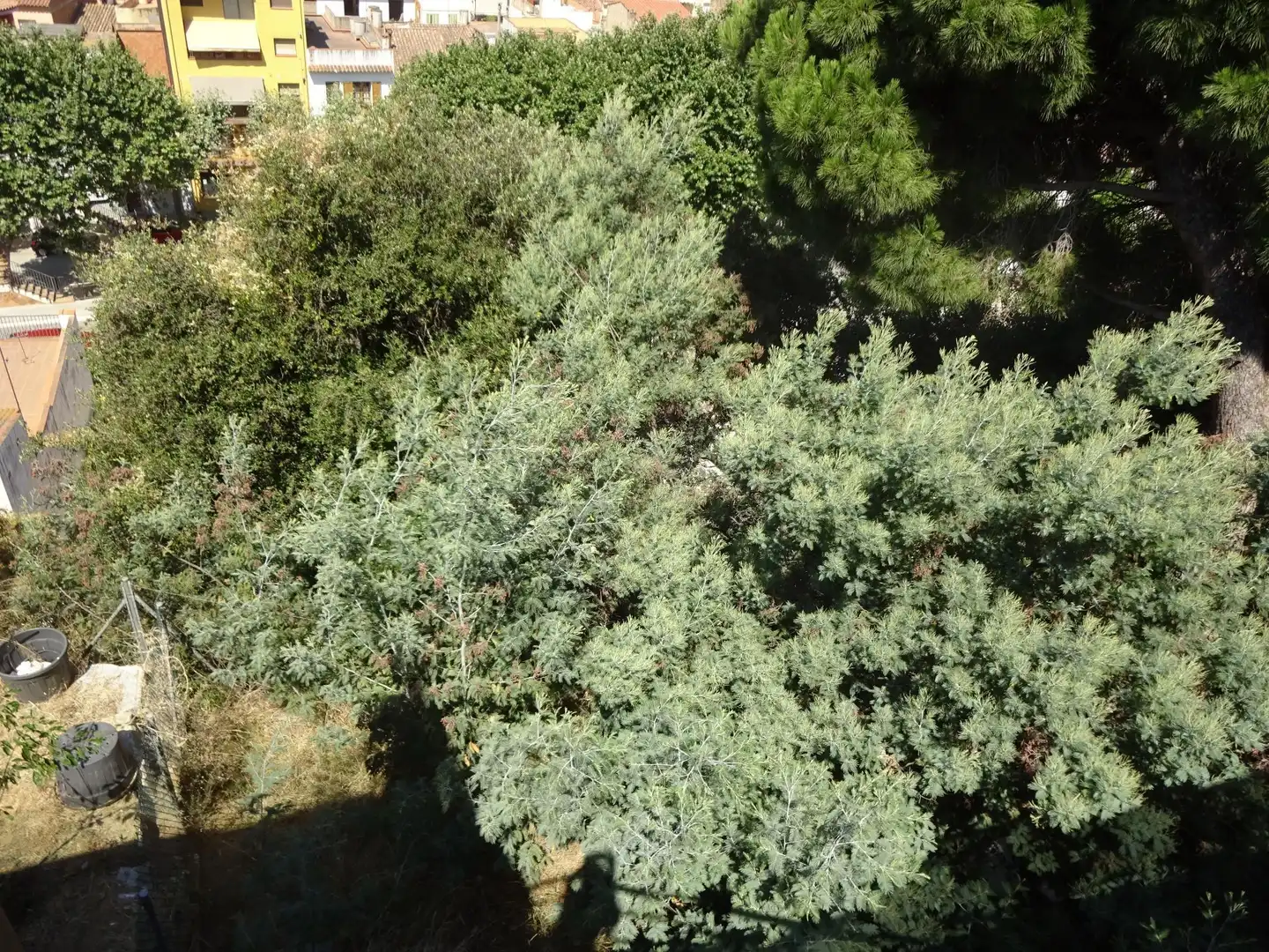 Terraced house for sale in Arenys de Munt, imagen 17