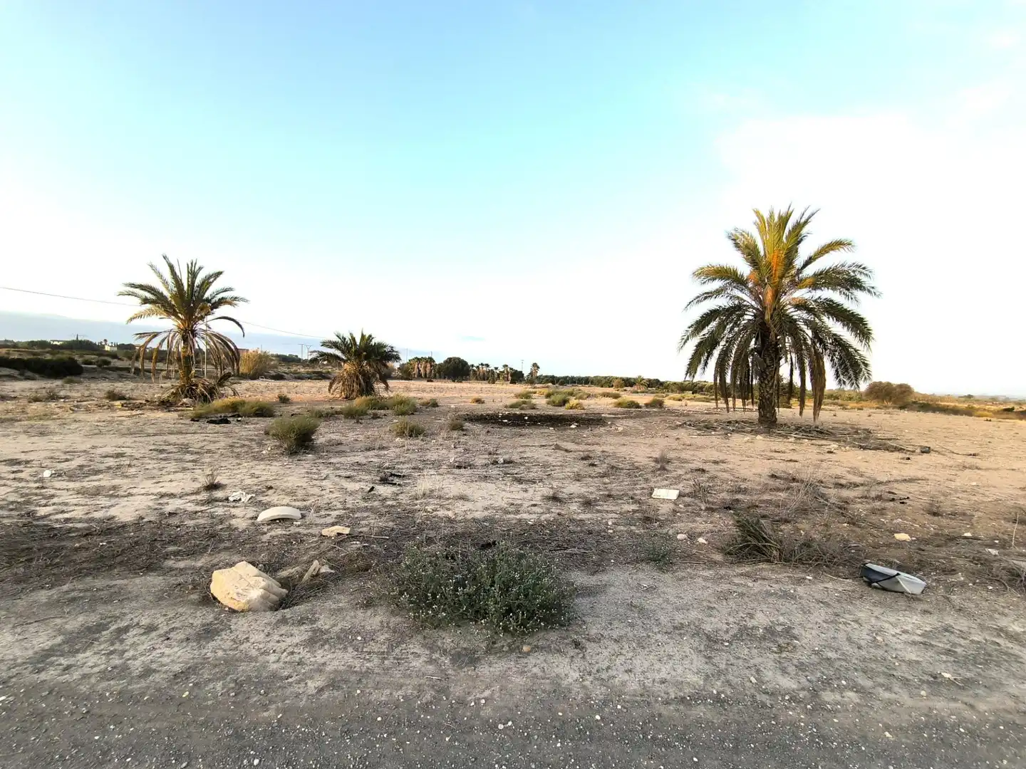 Terrain rustique à vendre à La Marina, imagen 6