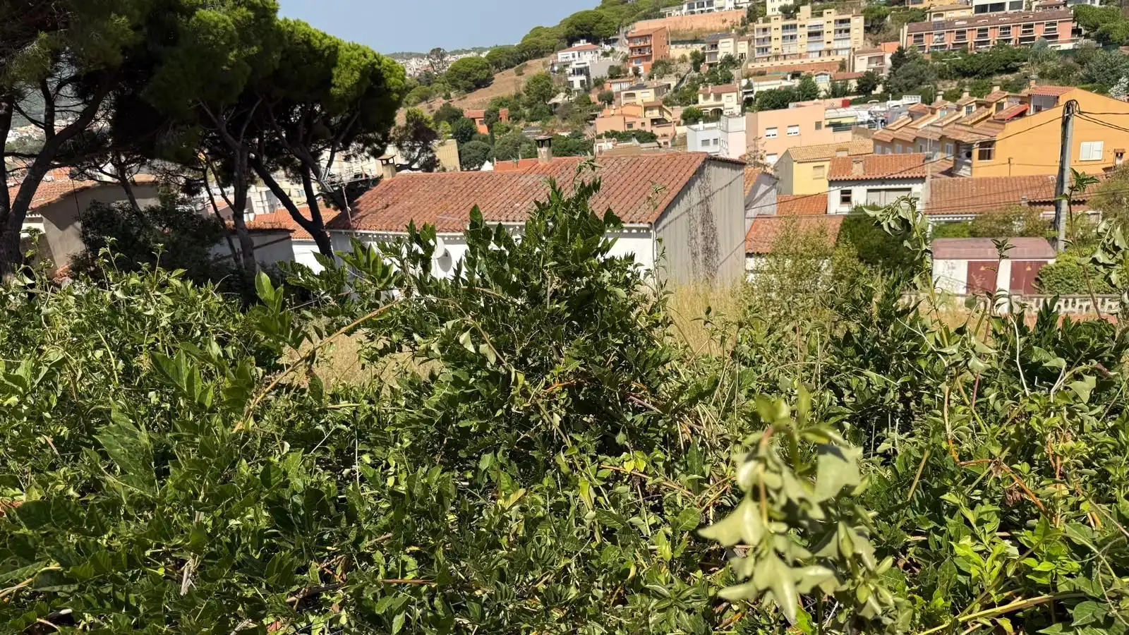 Terrenys i solars en venda a Volta de l´Ametller, imagen 9