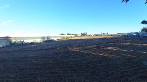 Foto 4 de Residencial en venda a Camino del Olivar, Avenida de Rota, Chipiona