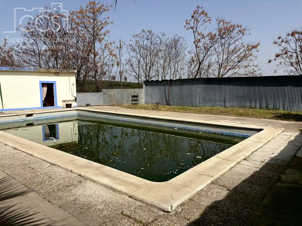Swimming pool of Country homes for sale in Pilas  with Swimming Pool
