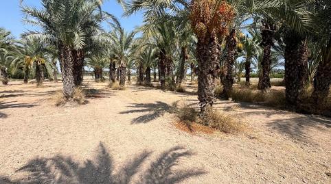 Foto 3 de Terreno en venta en La Algoda - Matola - Llano de San José, Alicante