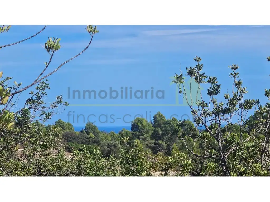 Rural land for sale in Poligono 37 Paraje 351 T Cerver