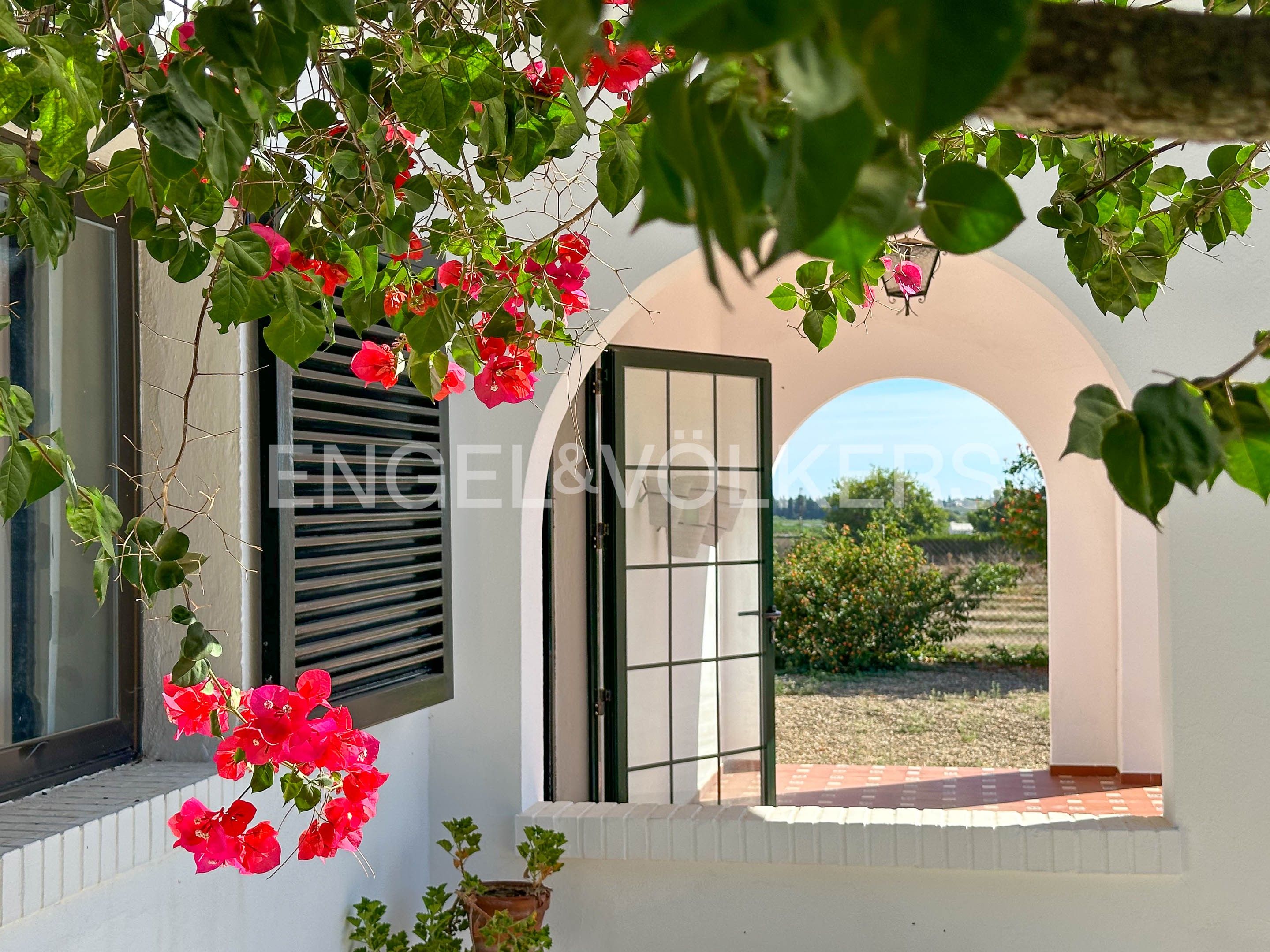 Vista exterior de Finca rústica en venda en Sanlúcar la Mayor amb Aire condicionat, Calefacció i Jardí privat