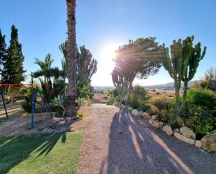Land for sale in Carrer els Ports, 26, Pueblo Español - Coveta Fumá
