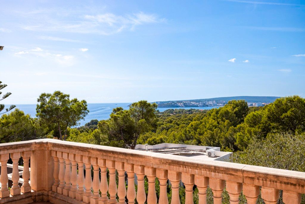 Garden of House or chalet for sale in Calvià  with Air Conditioner, Private garden and Terrace