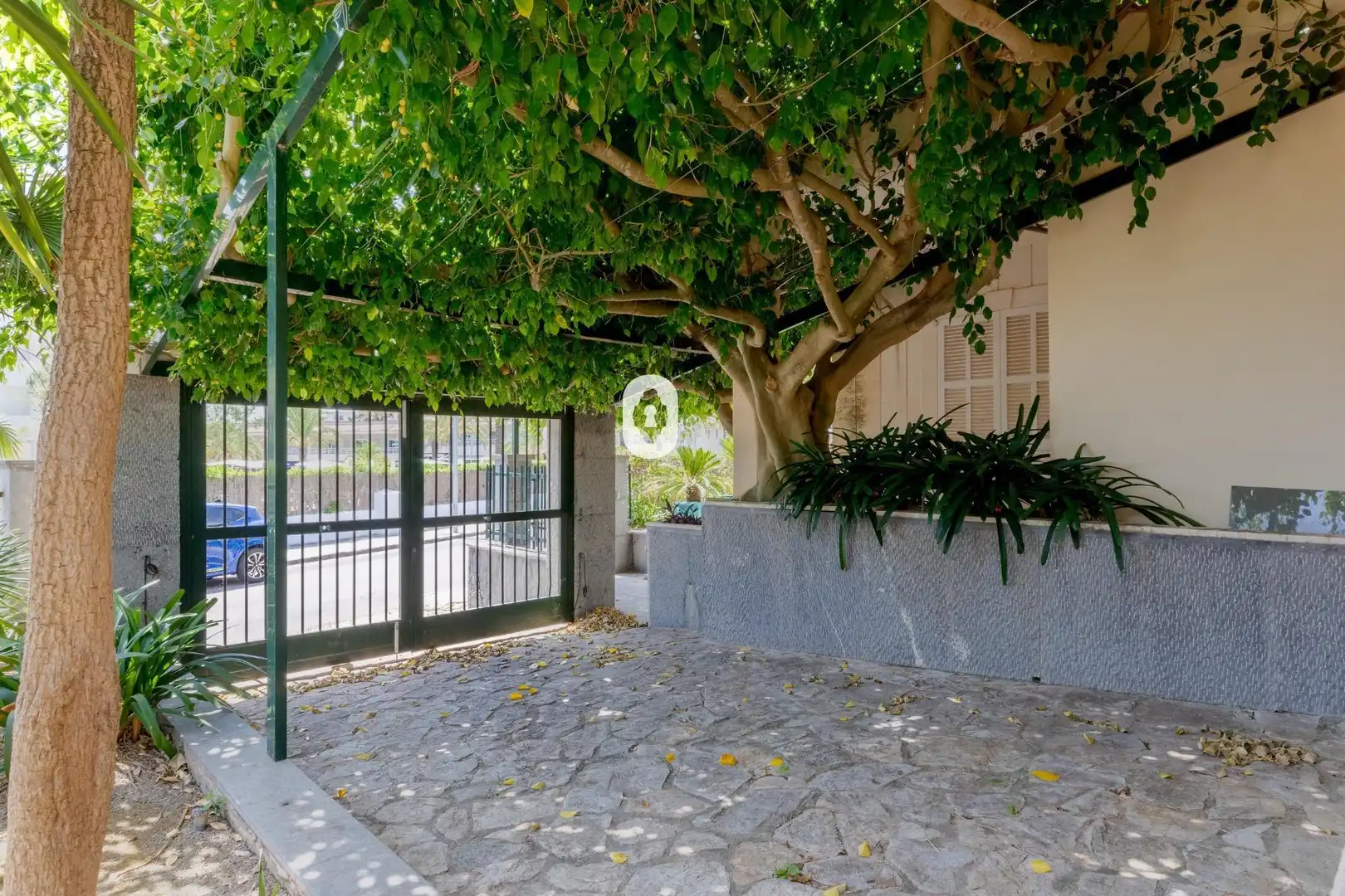 Vista exterior de Casa o xalet en venda en Santa Margalida amb Jardí privat i Parquet