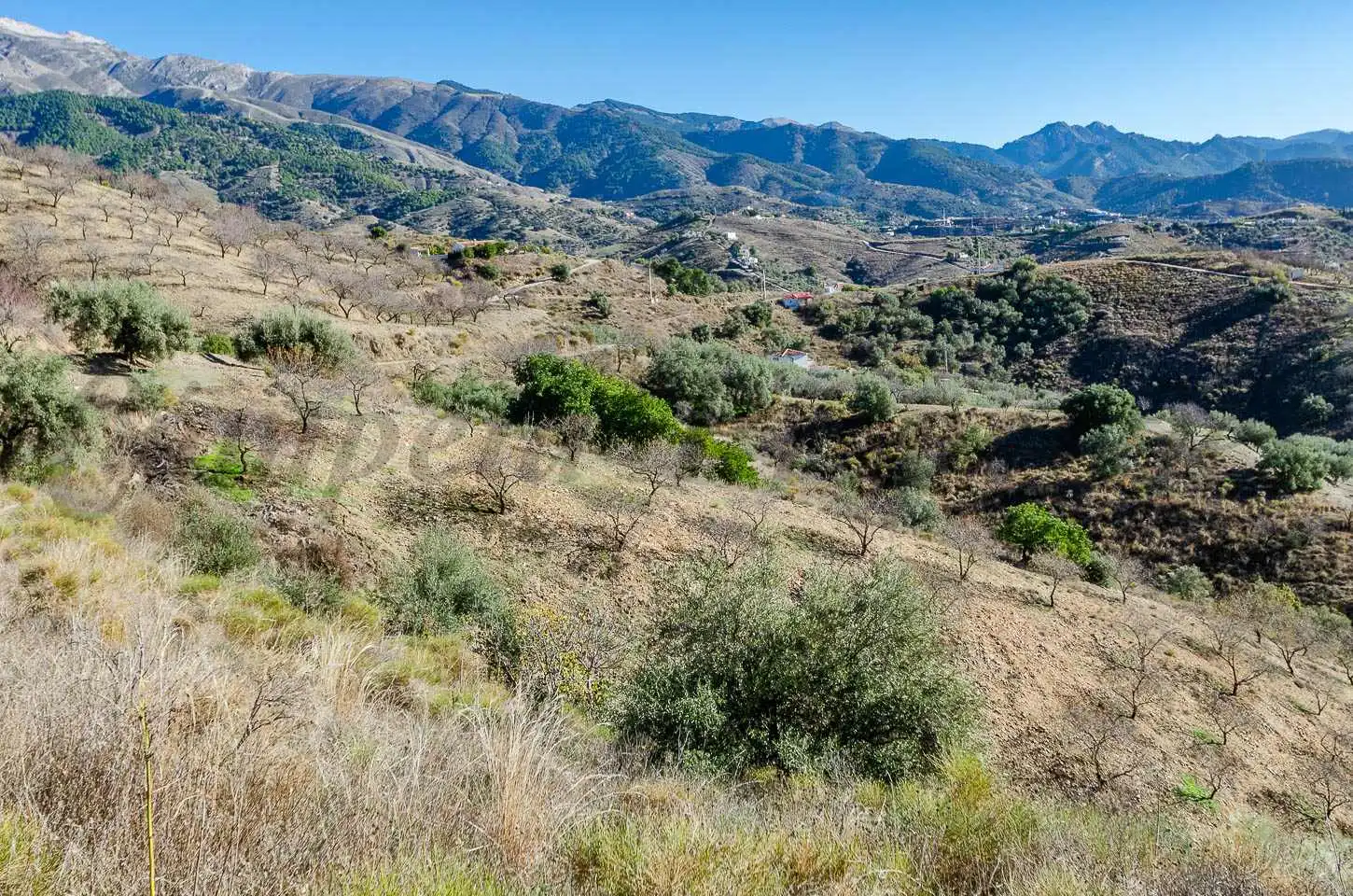 Casa rústica en venta en Sedella, imagen 12