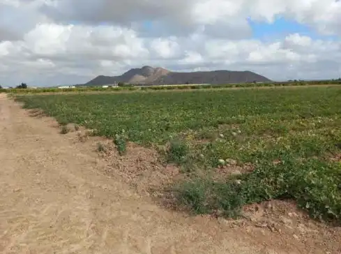 Terreno en venta en Partida Torre de Aguado , Dolores de Pacheco - Santa Rosalía