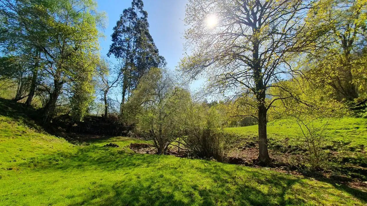 Finca rústica en venta en Llanes