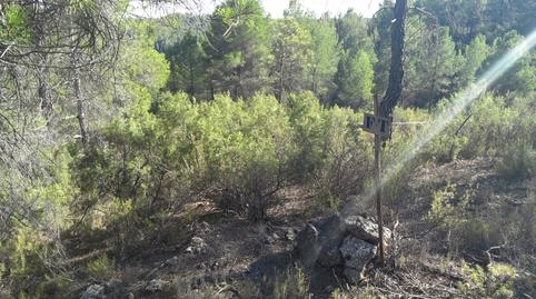Foto 4 de Terreny en venda a Plaza Mayor, 8, La Pesquera , Cuenca