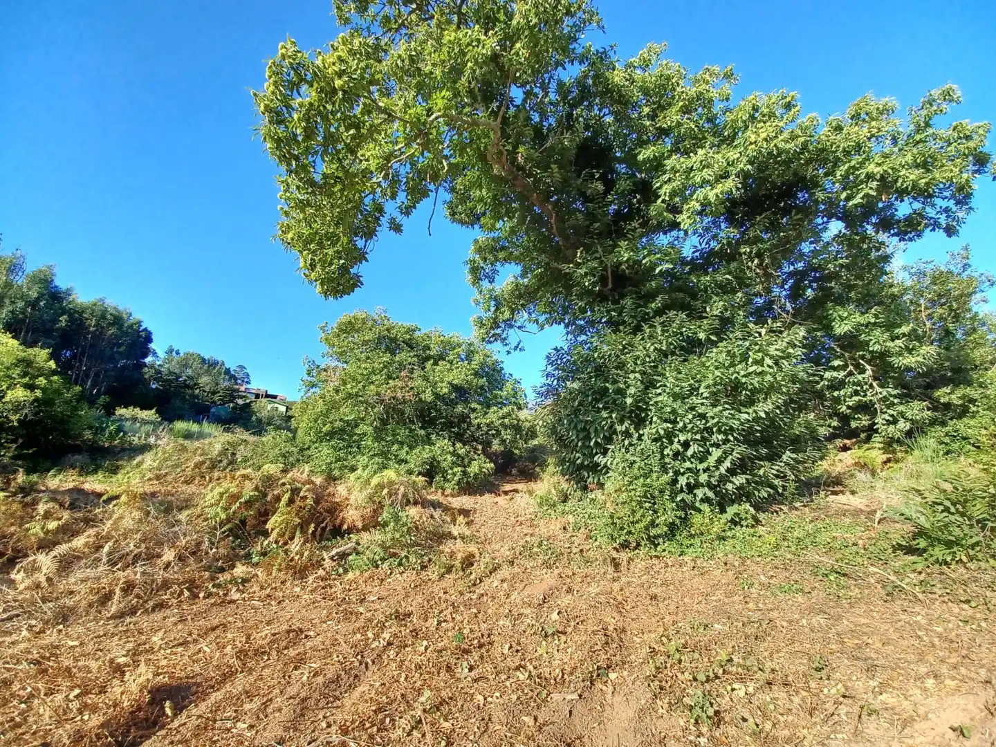 Terrenys i solars en venda a La Esperanza - Llano del Moro