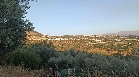 Terreno rustico secano, immagine 2