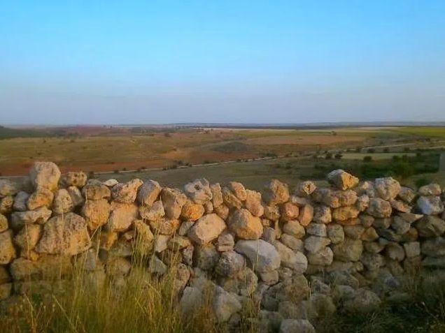 Land for sale in Baraona