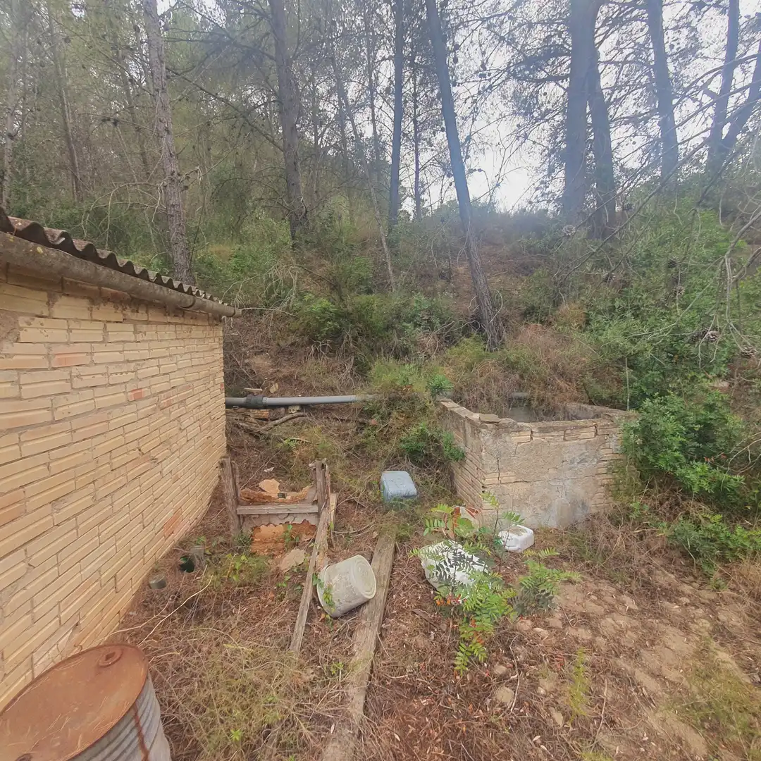 Terreno rústico en venta en Benifallet, imagen 26