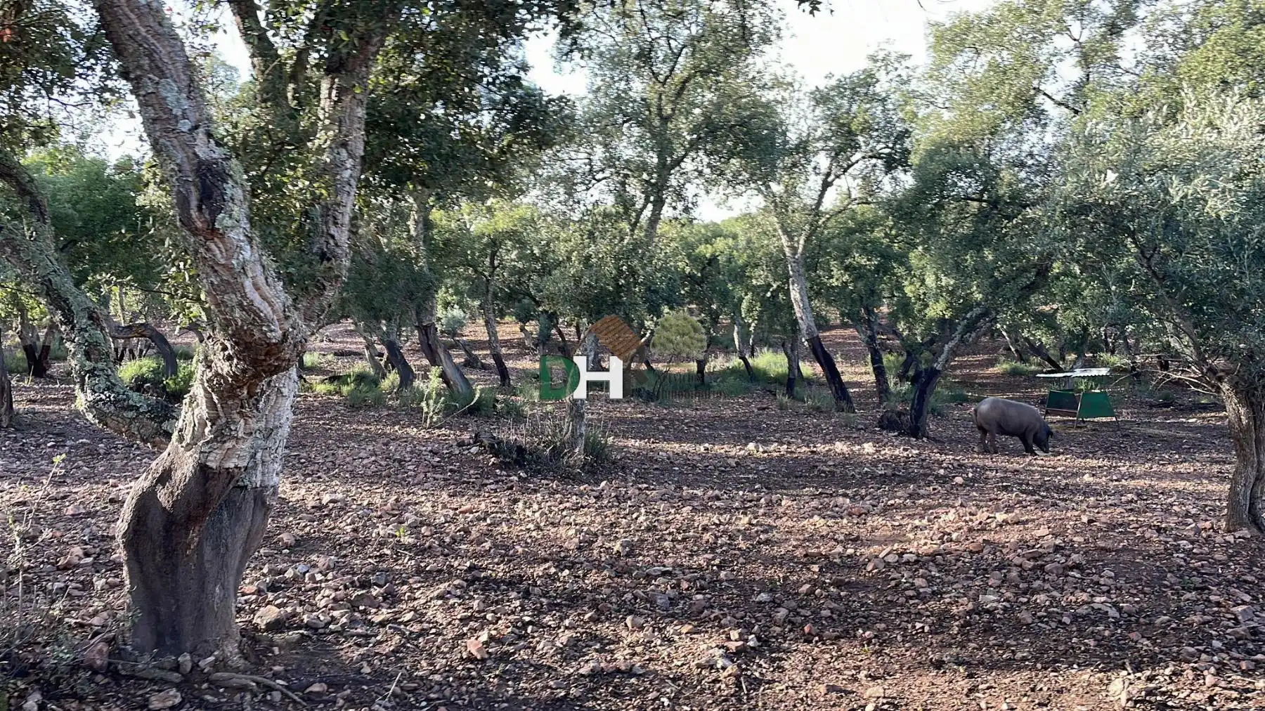 Finca rústica en venta en Estación Arroyo Malpartida
