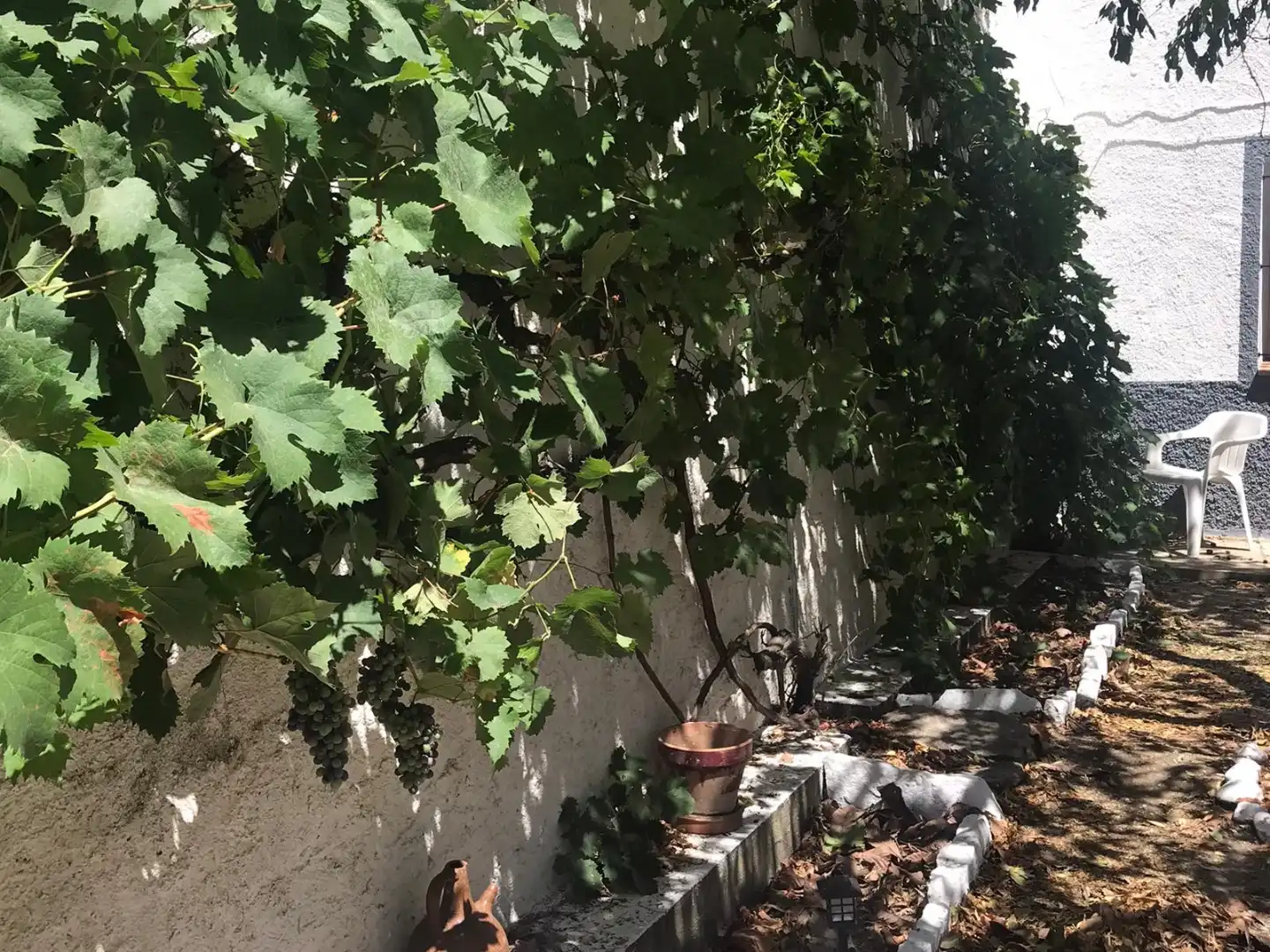 Habitatge amb jardí en venda a Calle Huesca 18, imagen 61