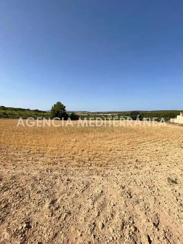 Finca rústica en venda en Almansa amb Calefacció, Jardí privat i Terrassa