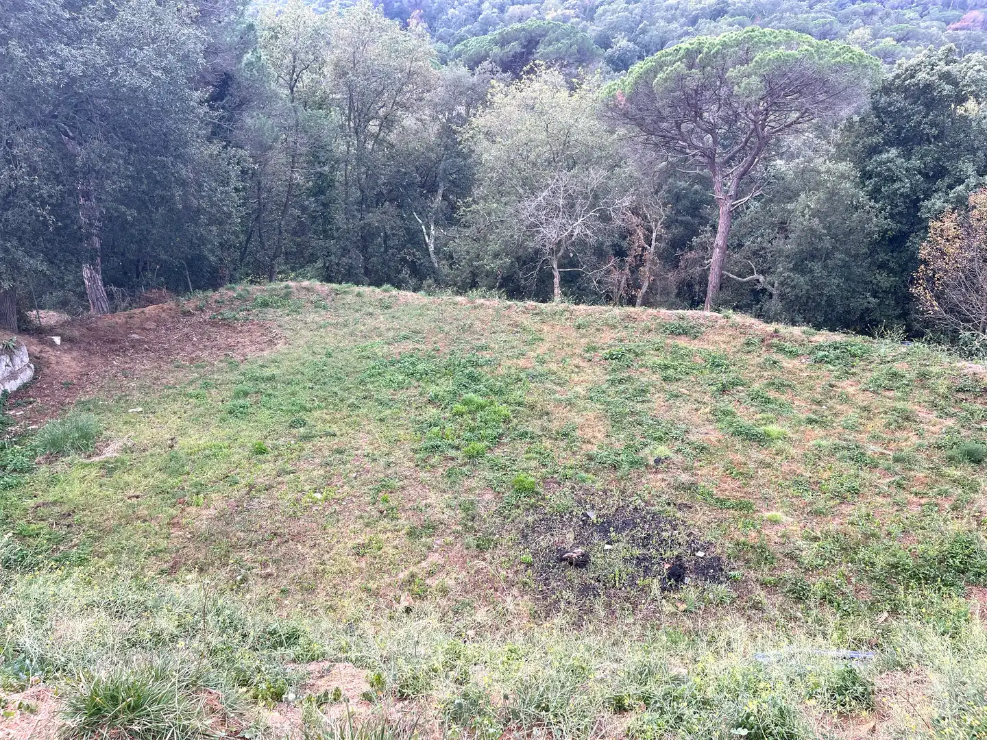Terreno residencial en venta en Carrer del Pi 21, imagen 4