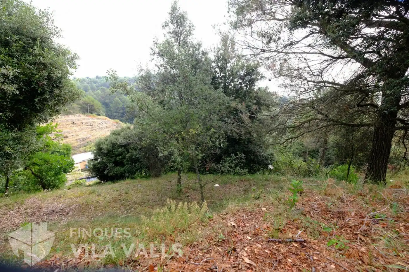 Terrenys i solars en venda a vinyetes, imagen 6