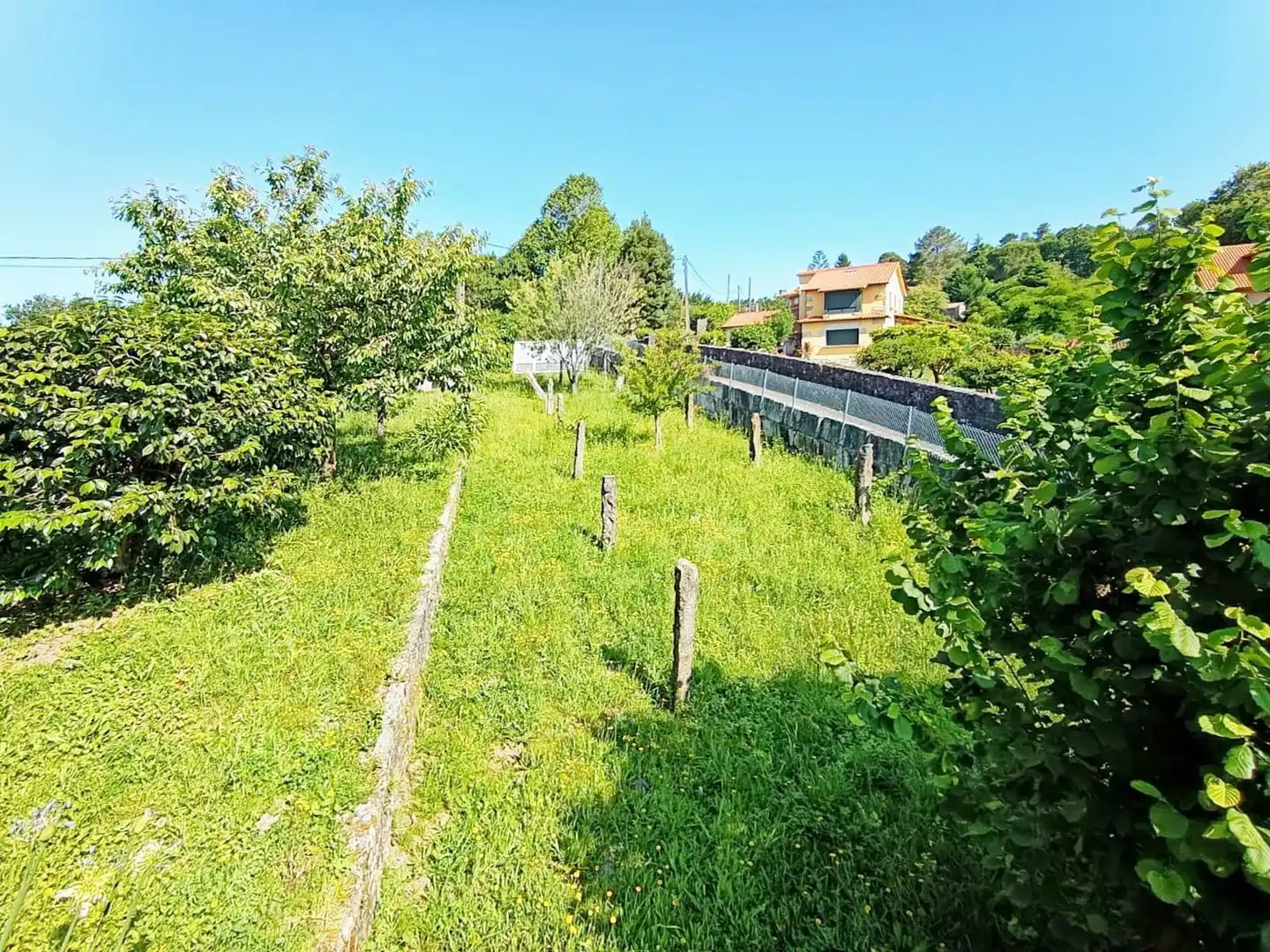 Casa o xalet en venda en Pontevedra Capital  amb Jardí privat, Terrassa i Traster